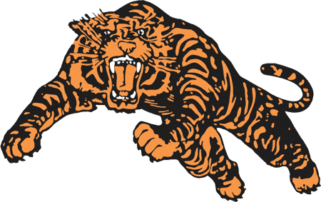 Princeton Tigers 1984-Pres Alternate Logo 01 iron on paper